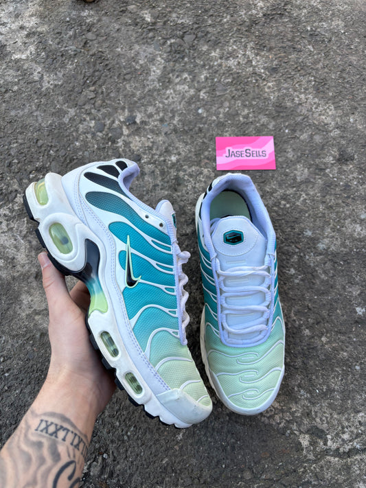 Nike Air Max Plus TN 'Dusty Cactus' UK7